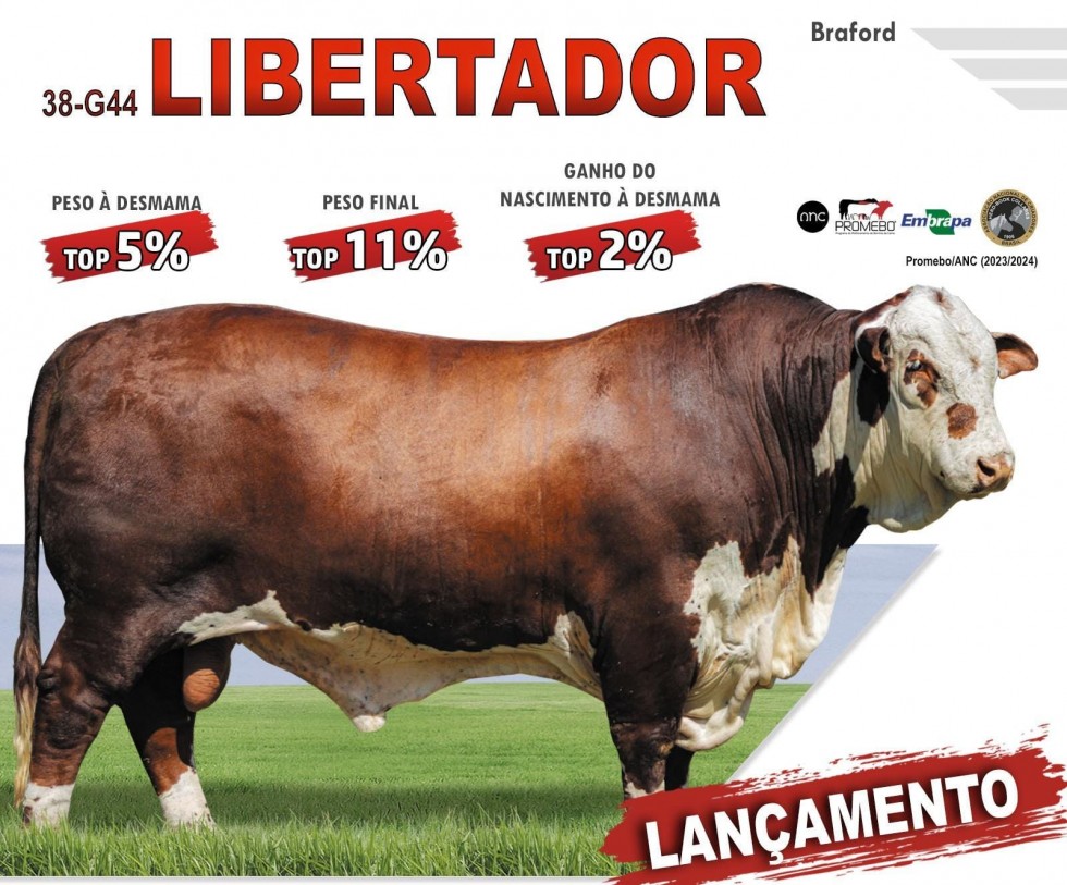 Imagem de LIBERTADOR