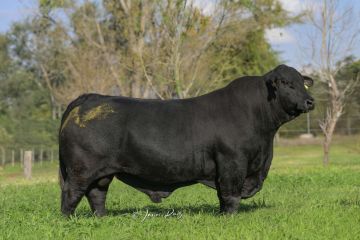 COPERO 4X4